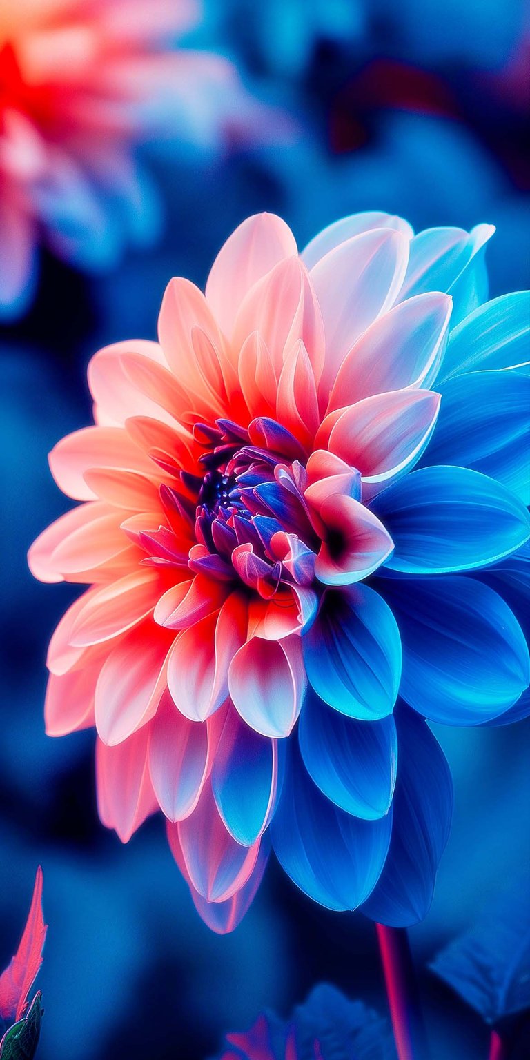 Flower nature wallpaper iPhone 4K