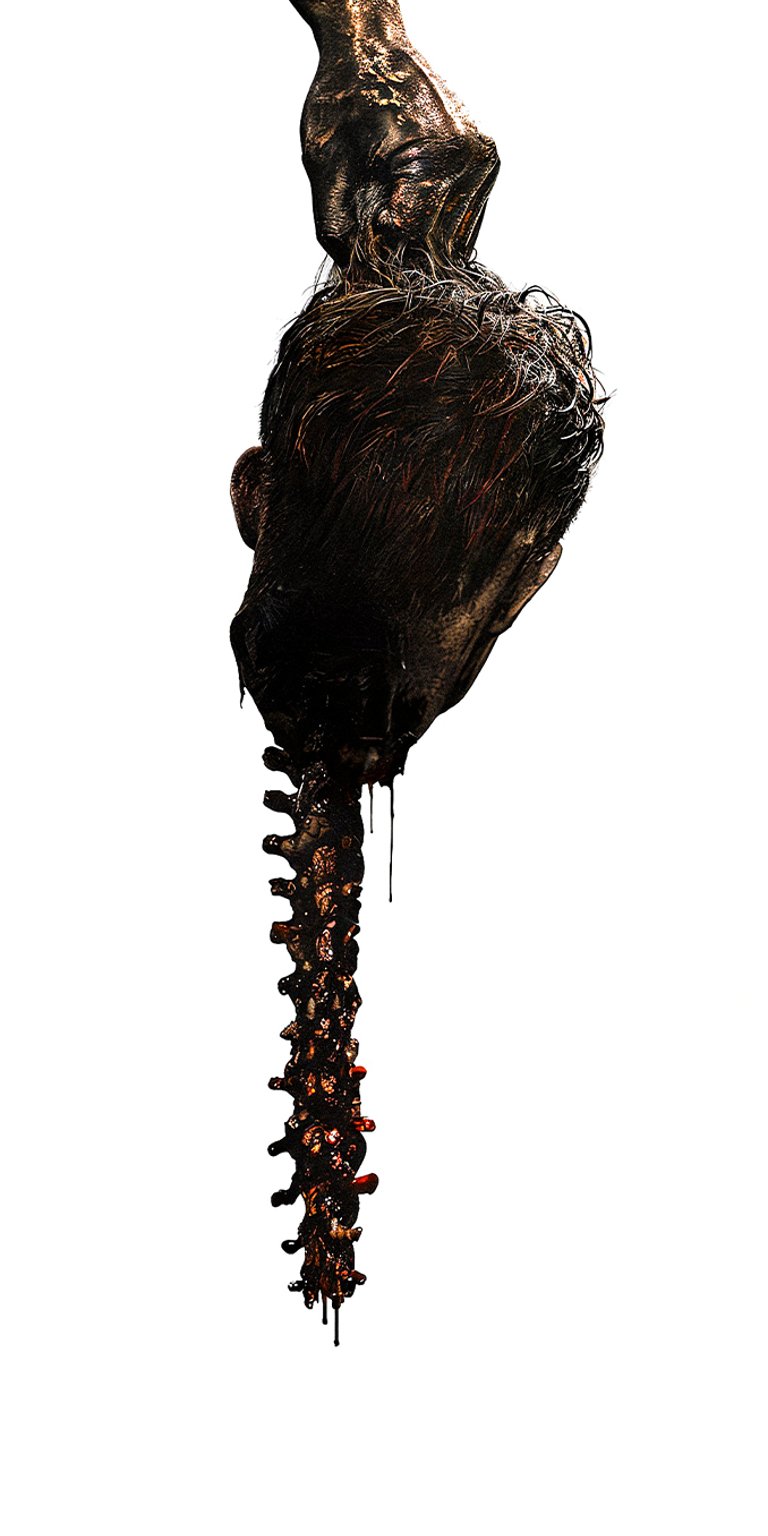 Zombie heart wallpaper iPhone 4K