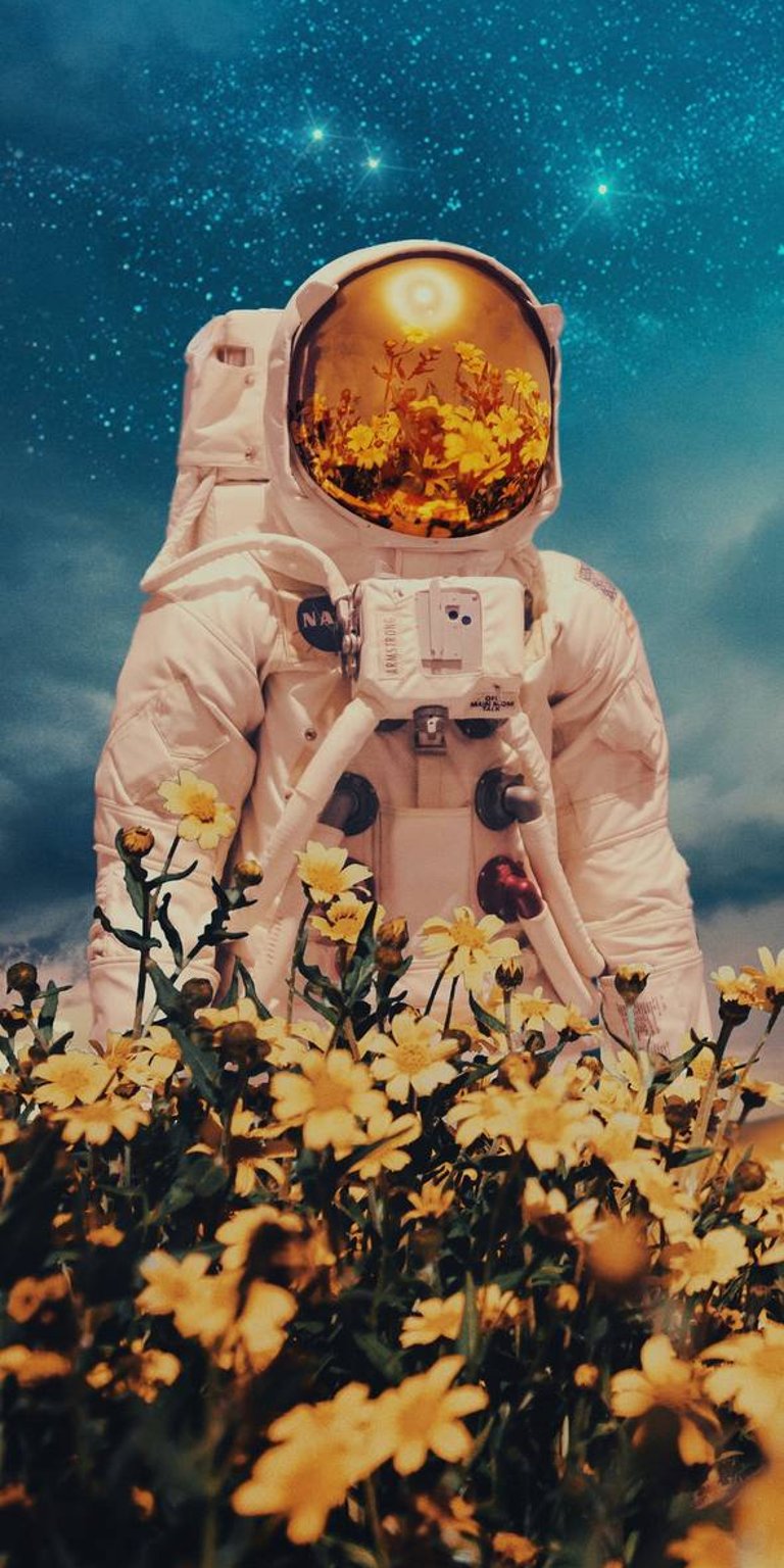 Astronaut garden shot wallpaper iPhone