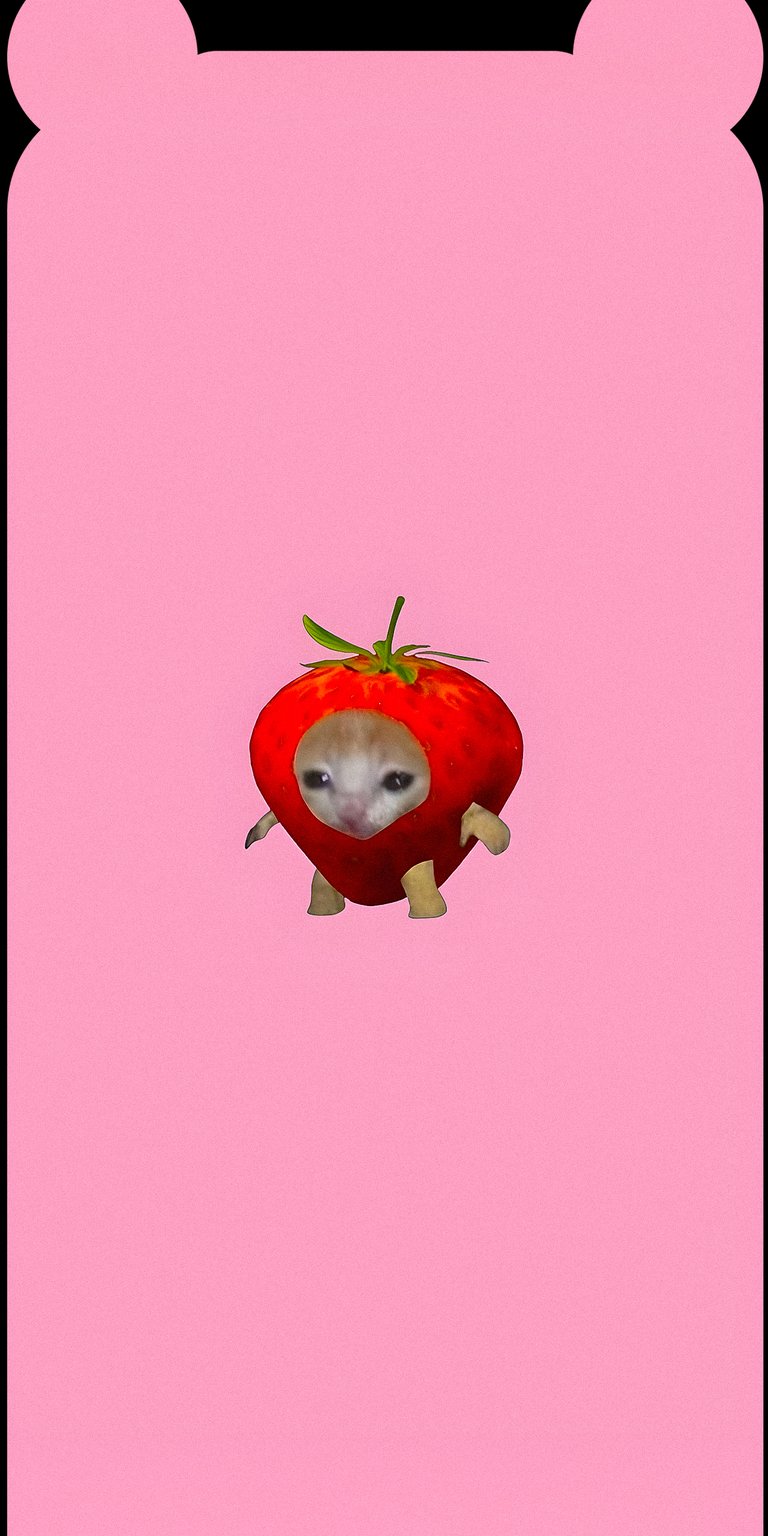 Cat in a strawberry wallpaper HD