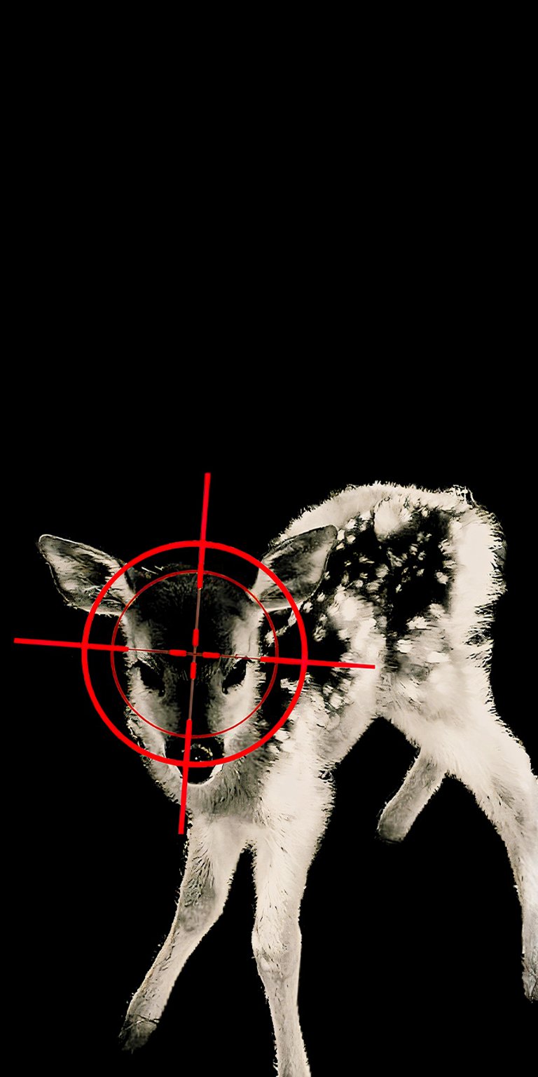 Dark deer wallpaper iPhone 4K