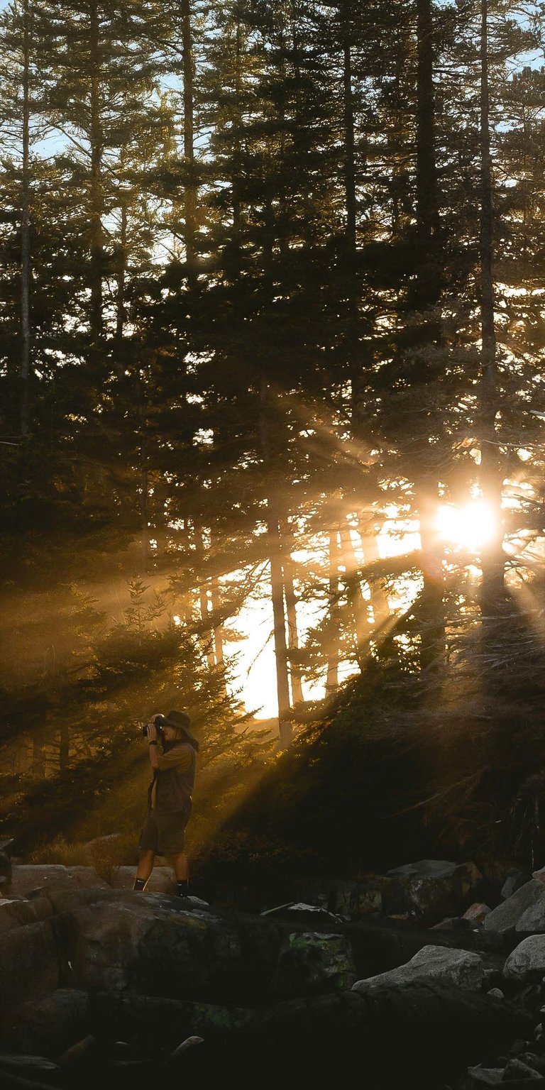 Morning sunrise girl taking photos wallpaper iPhone 4K