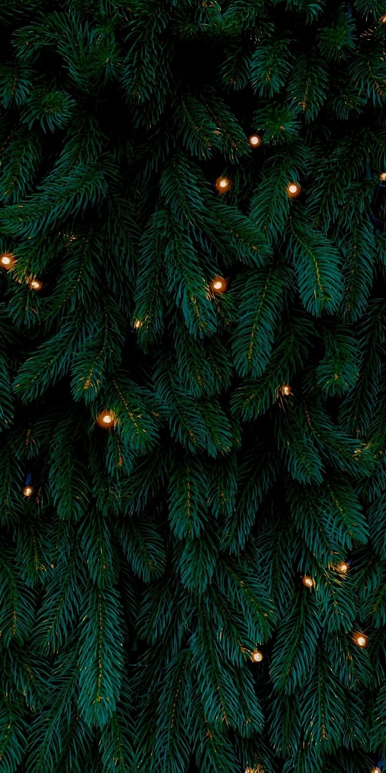 Adorn your iPhone with this lush Christmas tree wallpaper in stunning 4K resolution. The deep green needles are interspersed with soft, glowing lights creating a festive and cozy atmosphere.