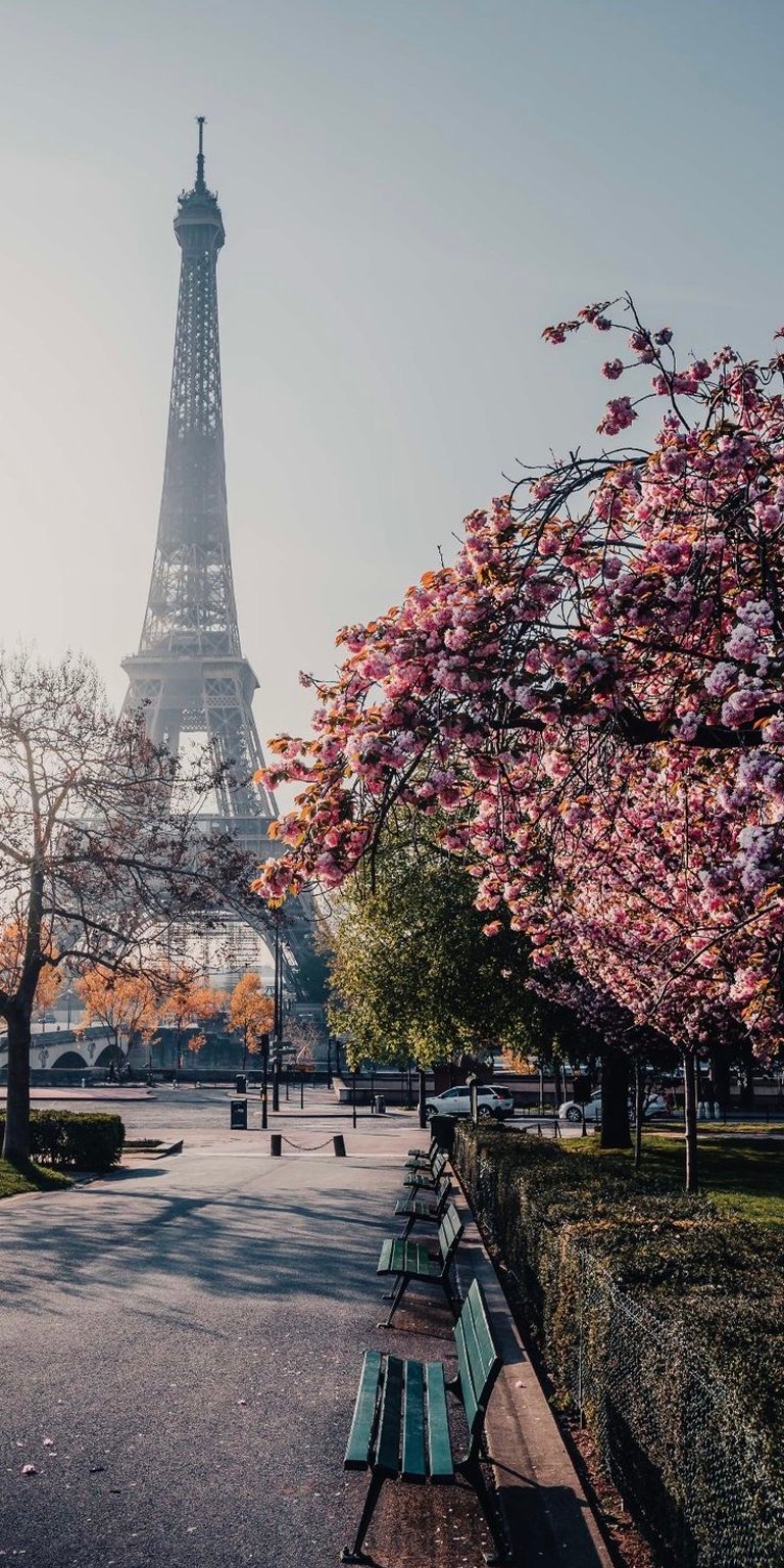 Paris view park wallpaper iPhone 4K