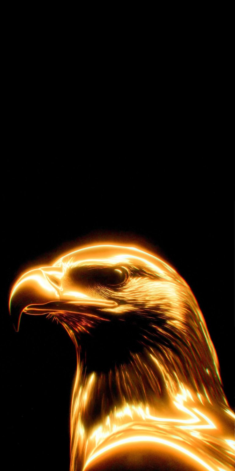 Download this stunning Eagle 4K wallpaper for your iPhone, which features a radiant, golden glow against a stark black backdrop. This sleek wallpaper emphasizes the intricate detailing of the eagle's feathers and its piercing gaze.