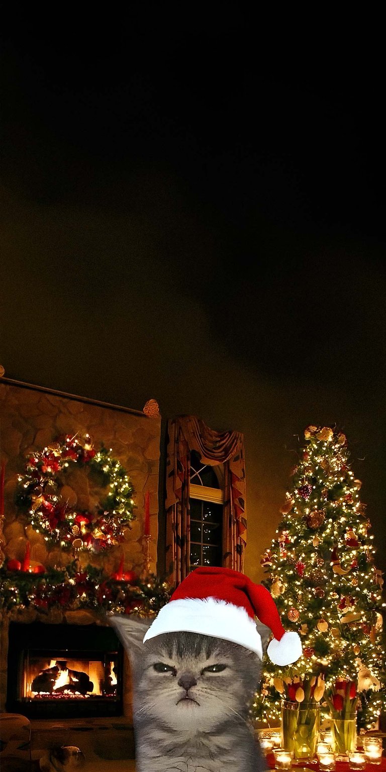 christmas christmas tree christmas light holiday