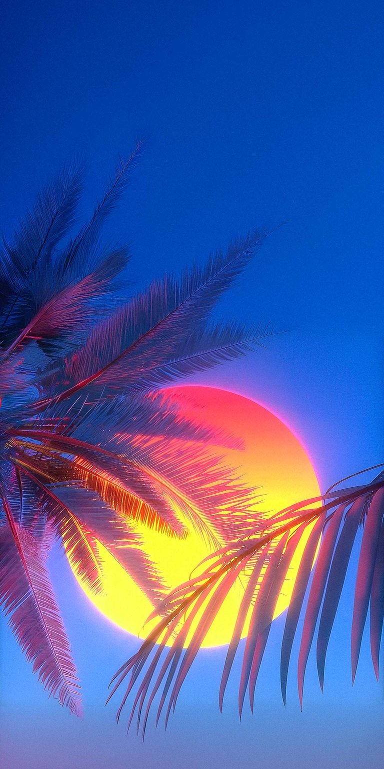Palm trees sunset wallpaper for iPhone HD