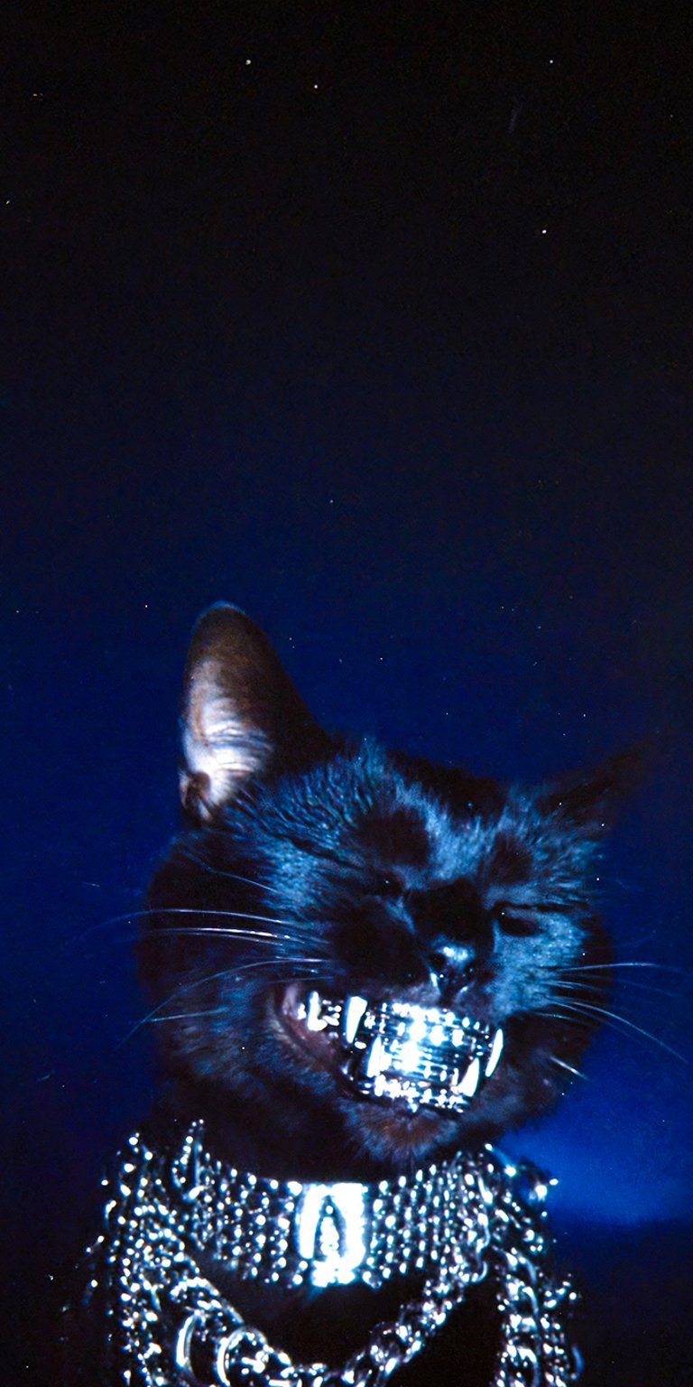 Diamond teeth cat wallpaper iPhone 4K