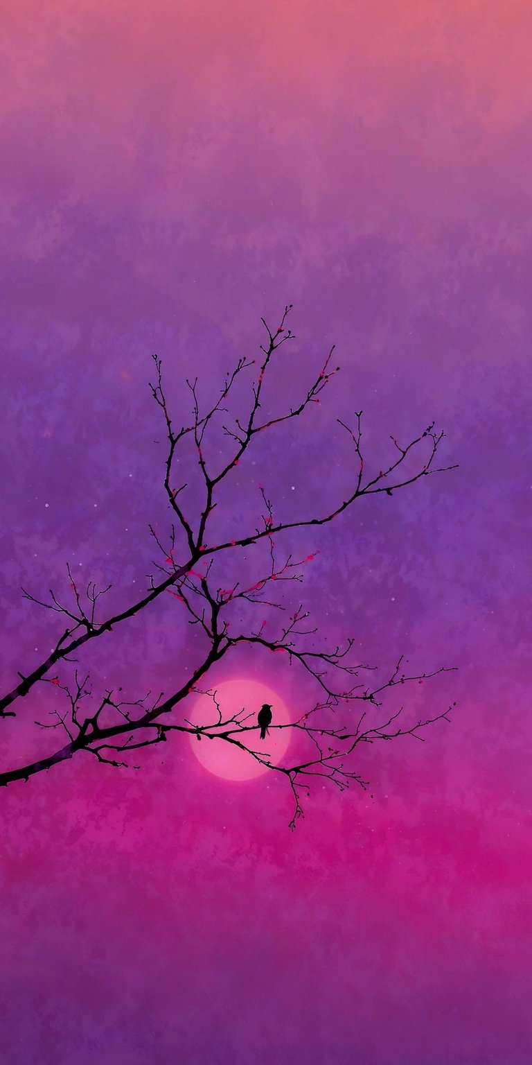 Behold this serene 4K wallpaper perfect for your iPhone. Showcasing a silhouette of a bird perched on a tree branch against a stunning purple and pink sunset, this wallpaper evokes a sense of tranquility.