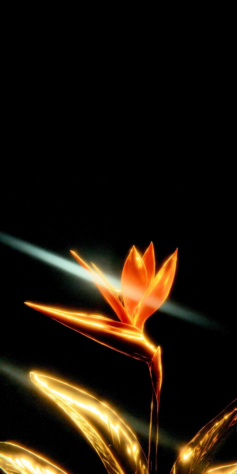 This stunning Bird of Paradise 4K wallpaper is the perfect backdrop for your iPhone. The vibrant orange flower is captured in exquisite detail with glowing leaves and a light streak across the image.