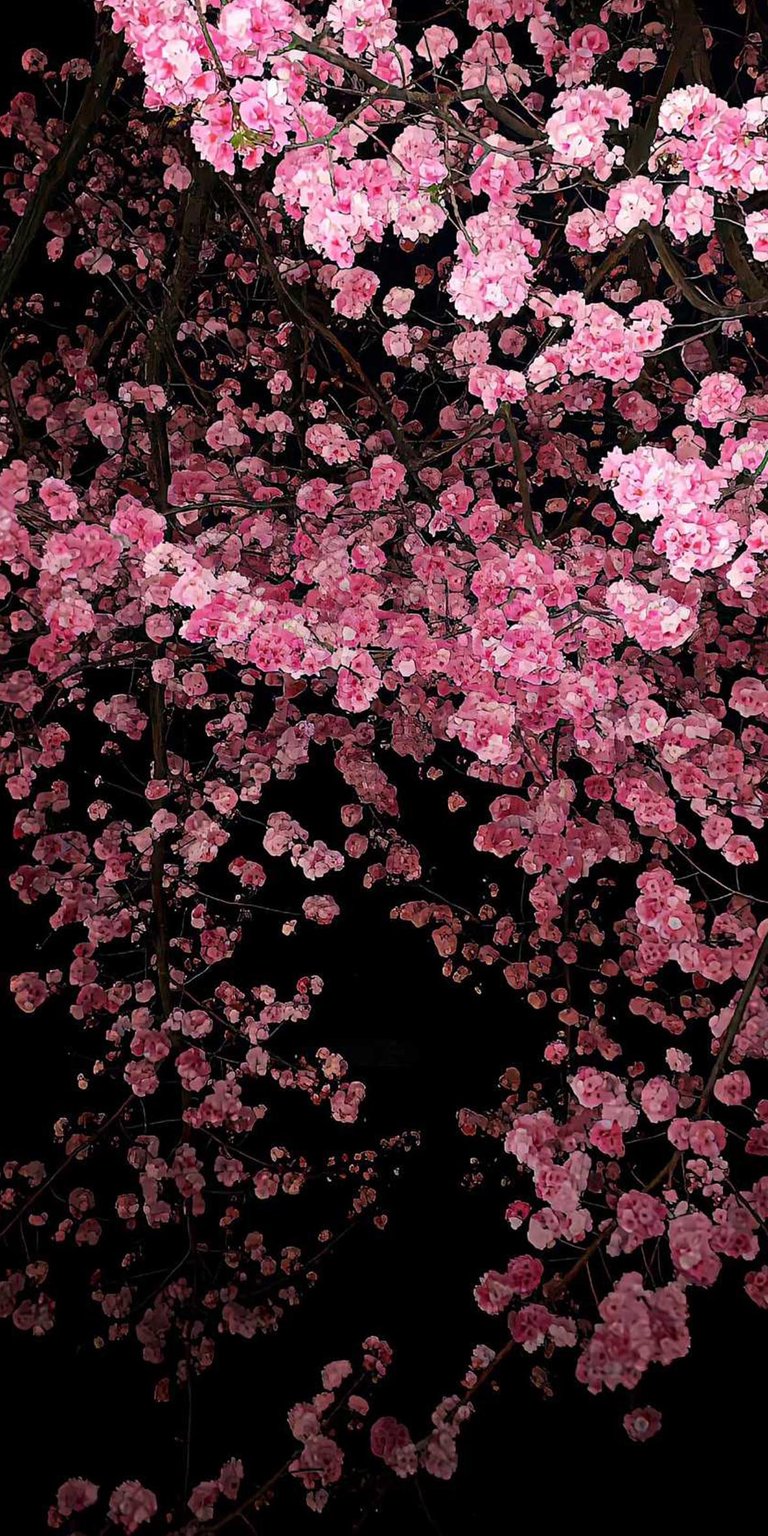 Cherry blossoms iOS 26 3D wallpaper 4K