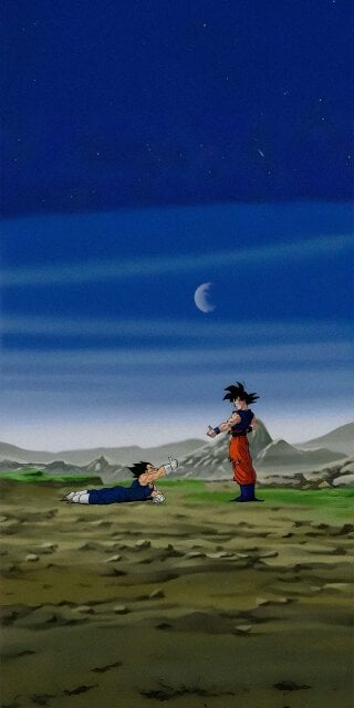 Goku & Vegeta wallpaper iPhone