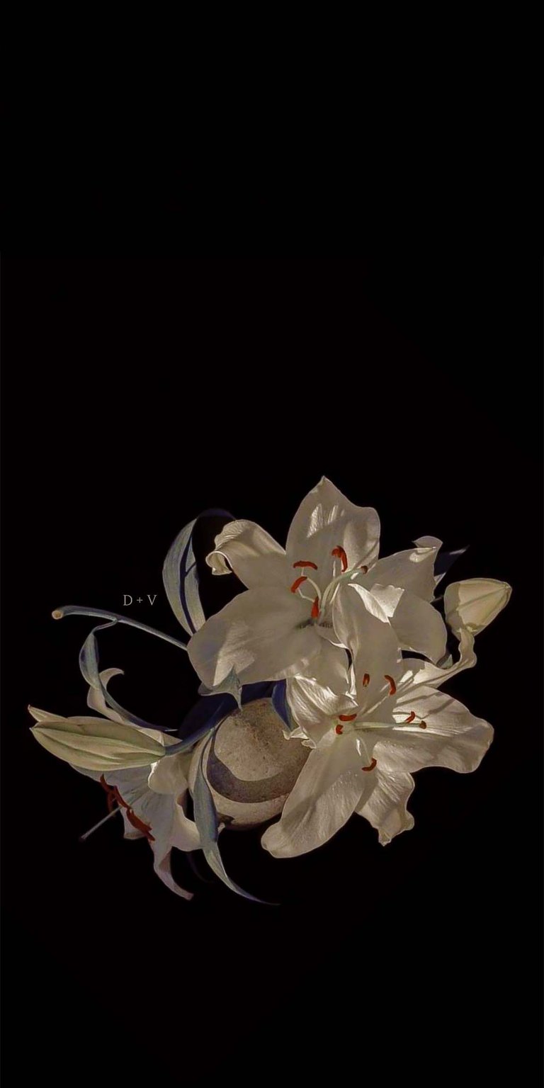Lily Initial Flowers iPhone wallpaper