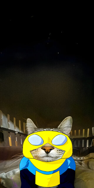 Invincible cat wallpaper iPhone 4K