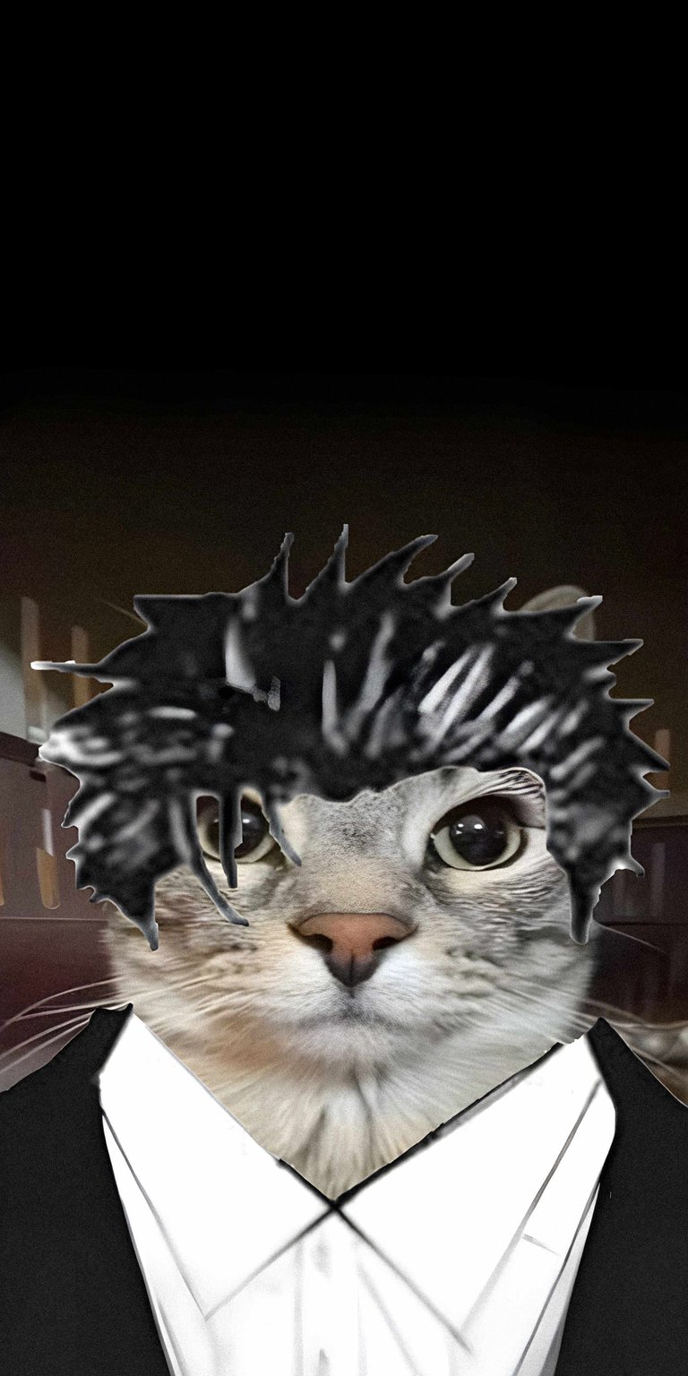 Download this striking Emo Cat 4K wallpaper for your iPhone, showcasing a unique blend of feline charm and dark fashion. This wallpaper features a cat with emo-style spiky hair, piercing eyes, and a formal suit, creating an unforgettable image.