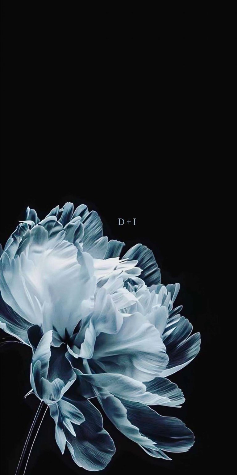 Peony Initial flowers iPhone wallpaper