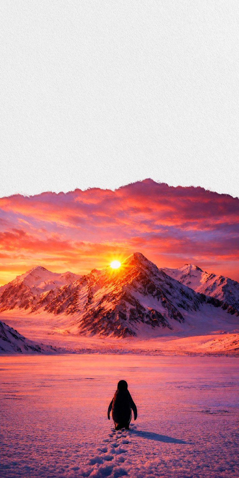 Experience the serene beauty of the frozen tundra with this Antarctic Penguin Sunset 4K wallpaper featuring a lone penguin walking toward snow-capped mountains. This stunning 4K wallpaper is perfectly optimized for your iPhone or mobile device, capturing the vibrant pink glow of the polar sun and detailed tracks in the deep snow.