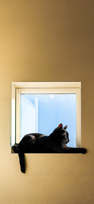 Aesthetic matching wallpaper iPhone 4K