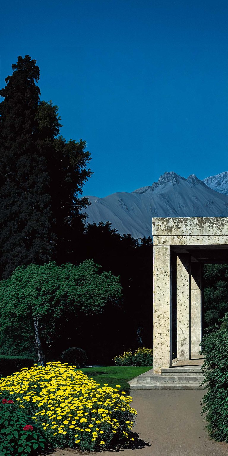 Nature minimalist garden wallpaper 4K iPhone