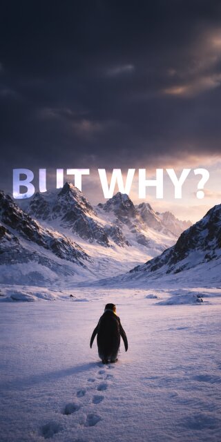 Download this stunning 4K wallpaper featuring a lone penguin trekking through a snowy landscape, perfect for your iPhone. The image includes dramatic storm clouds and the words "But Why?" overlayed on a mountain range.