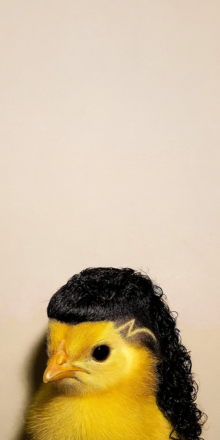 Chick mullet hairstyle wallpaper iPhone 4K