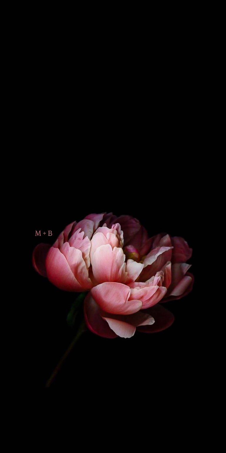 Peony Initial Flowers iPhone wallpaper