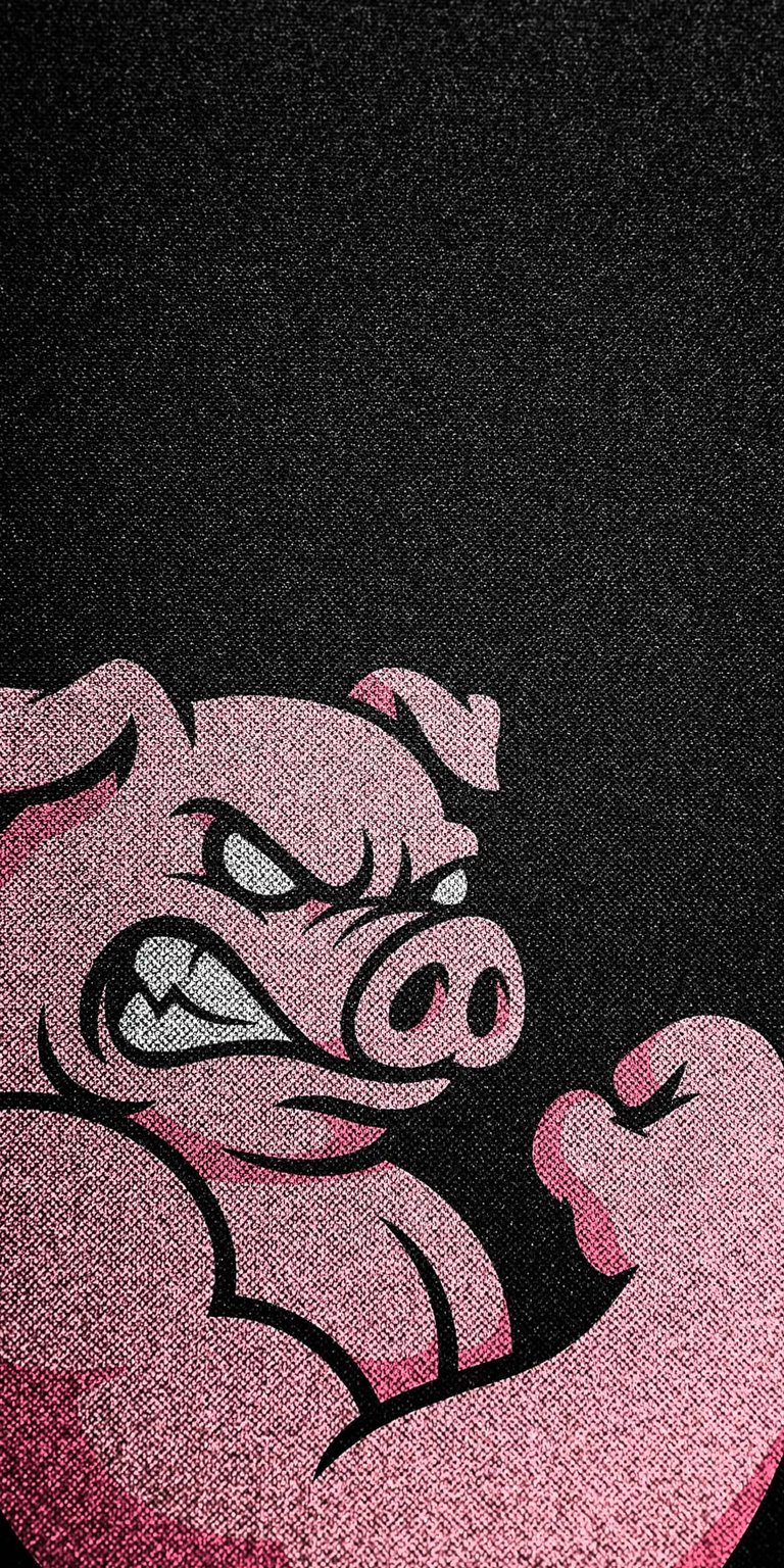 Pig aggressive look wallpaper for iOS