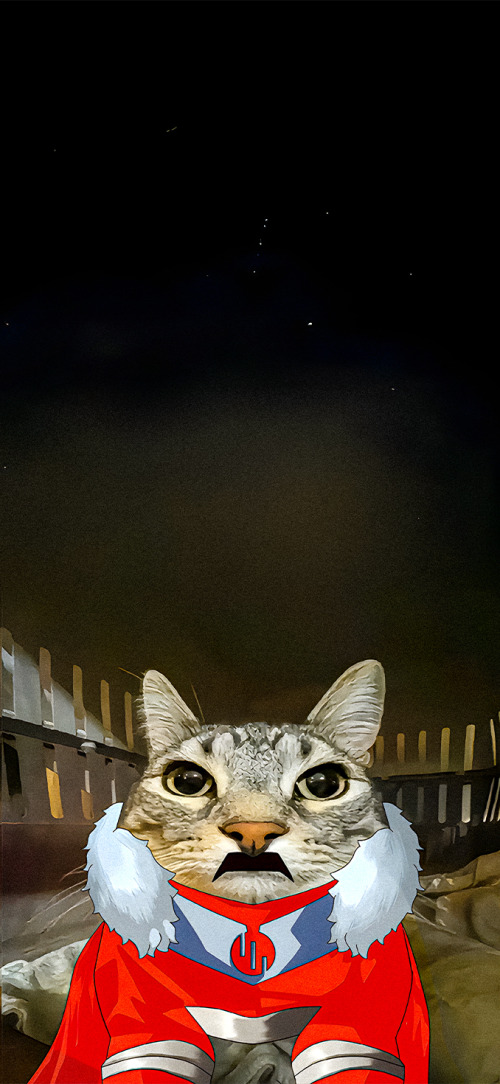 Atom Eve Invincible cat wallpaper iPhone 4K