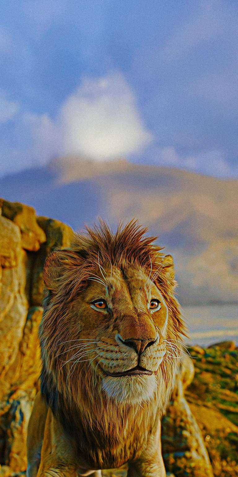 Lion King Mufasa wallpaper for iPhone