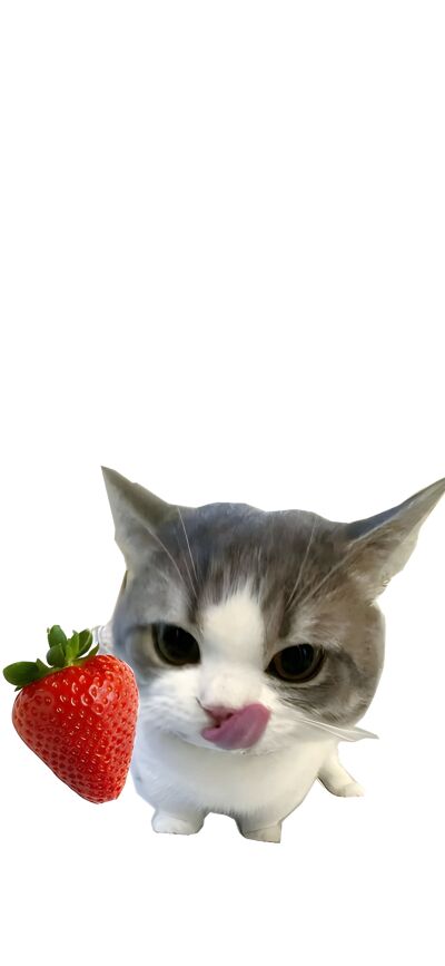 This cute cat matching 4K wallpaper is great for iPhones. The matching wallpaper displays a cat holding a matcha drink and strawberry, creating a fun split-screen wallpaper for 2 people.