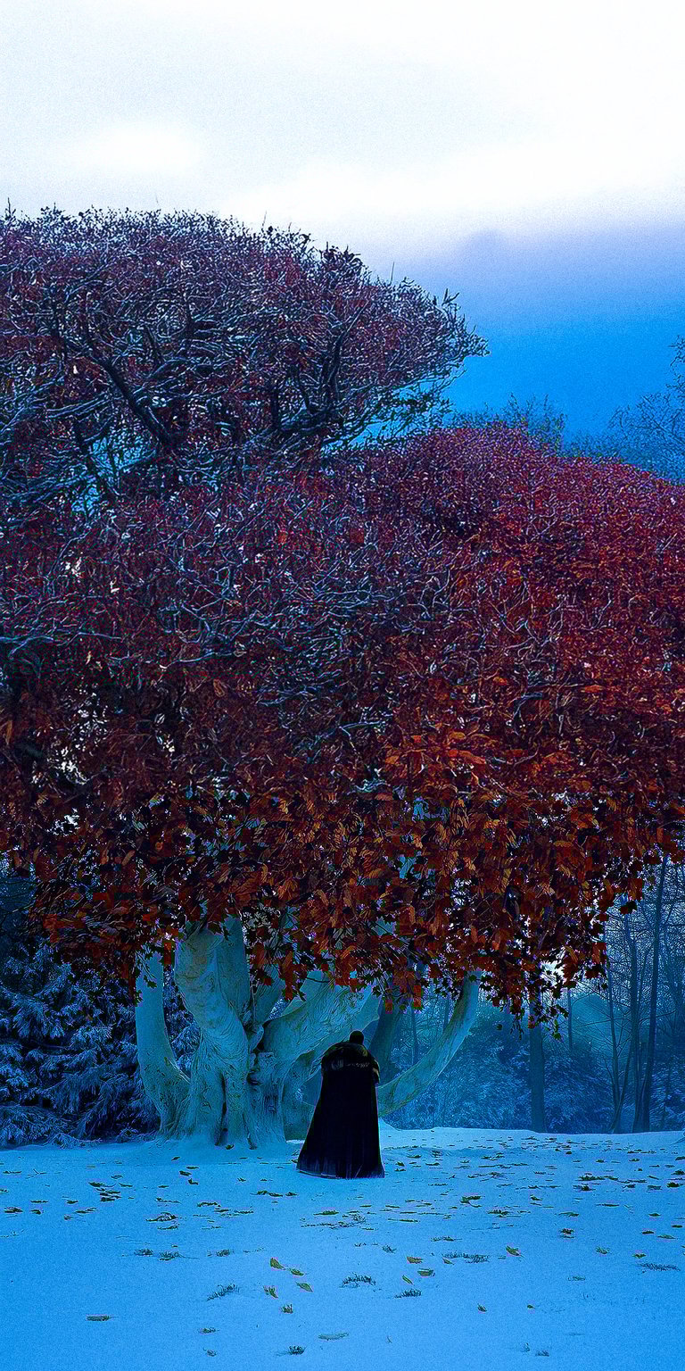 Game of Thrones Blood Tree wallpaper iPhone HD