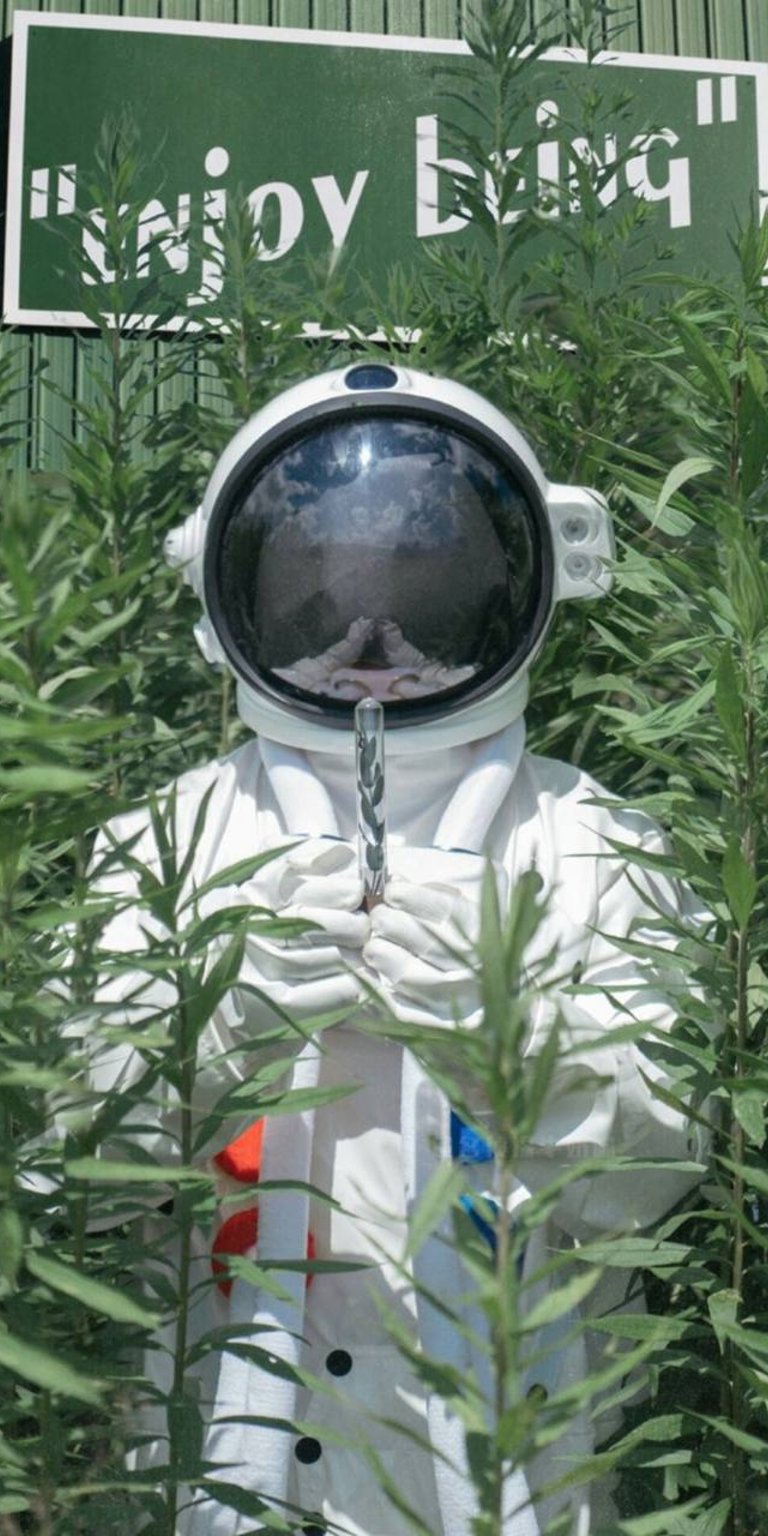 Astronaut in the field phone wallpaper