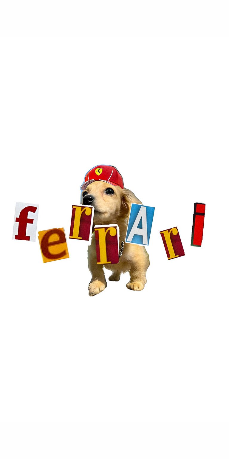 Ferrari dog wallpaper iPhone