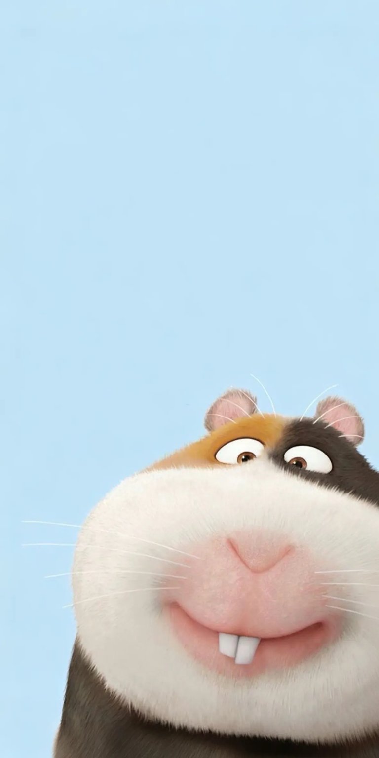 Norman hamster iPhone wallpaper 4K