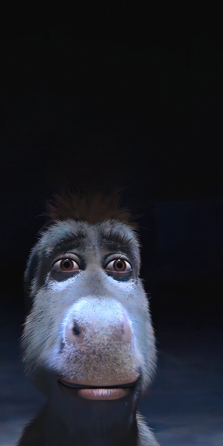 Donkey wallpaper HD iPhone