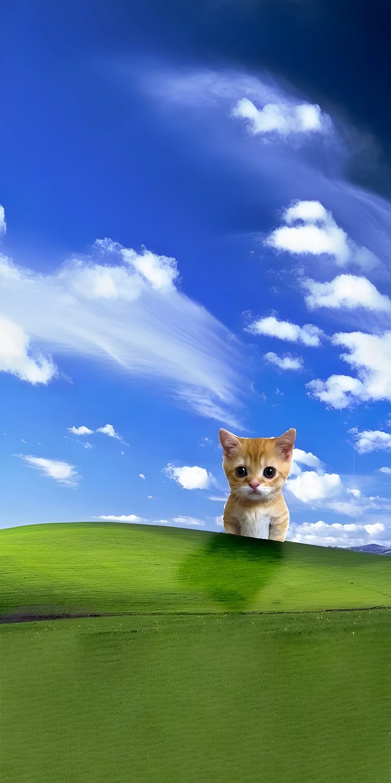 Download this vibrant 4K wallpaper featuring an orange cat against a lush green hill and bright blue sky for your iPhone. The charming wallpaper captures the cat's cute expression and fluffy fur against the iconic backdrop.