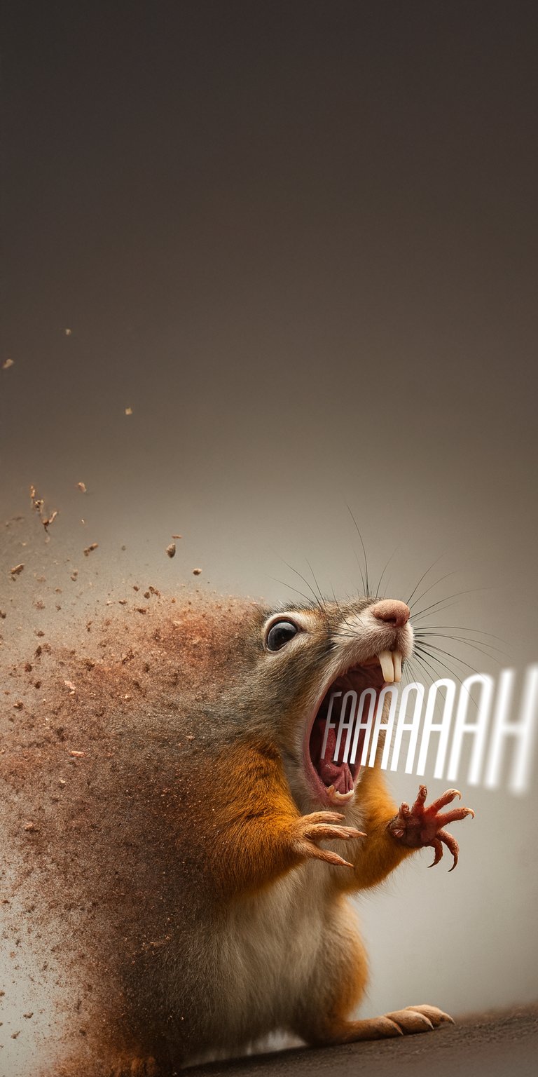 Squirrel shouting wallpaper 4K iPhone