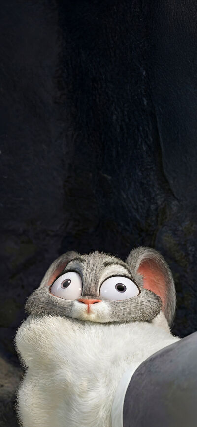 Zootopia matching wallpaper iPhone 4K