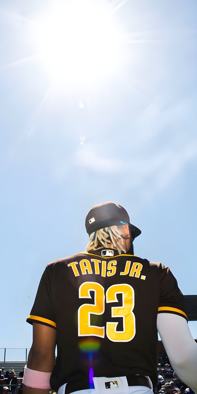 Fernando Tatís Jr. photo of his back jersey in a very sunny day wallpaper