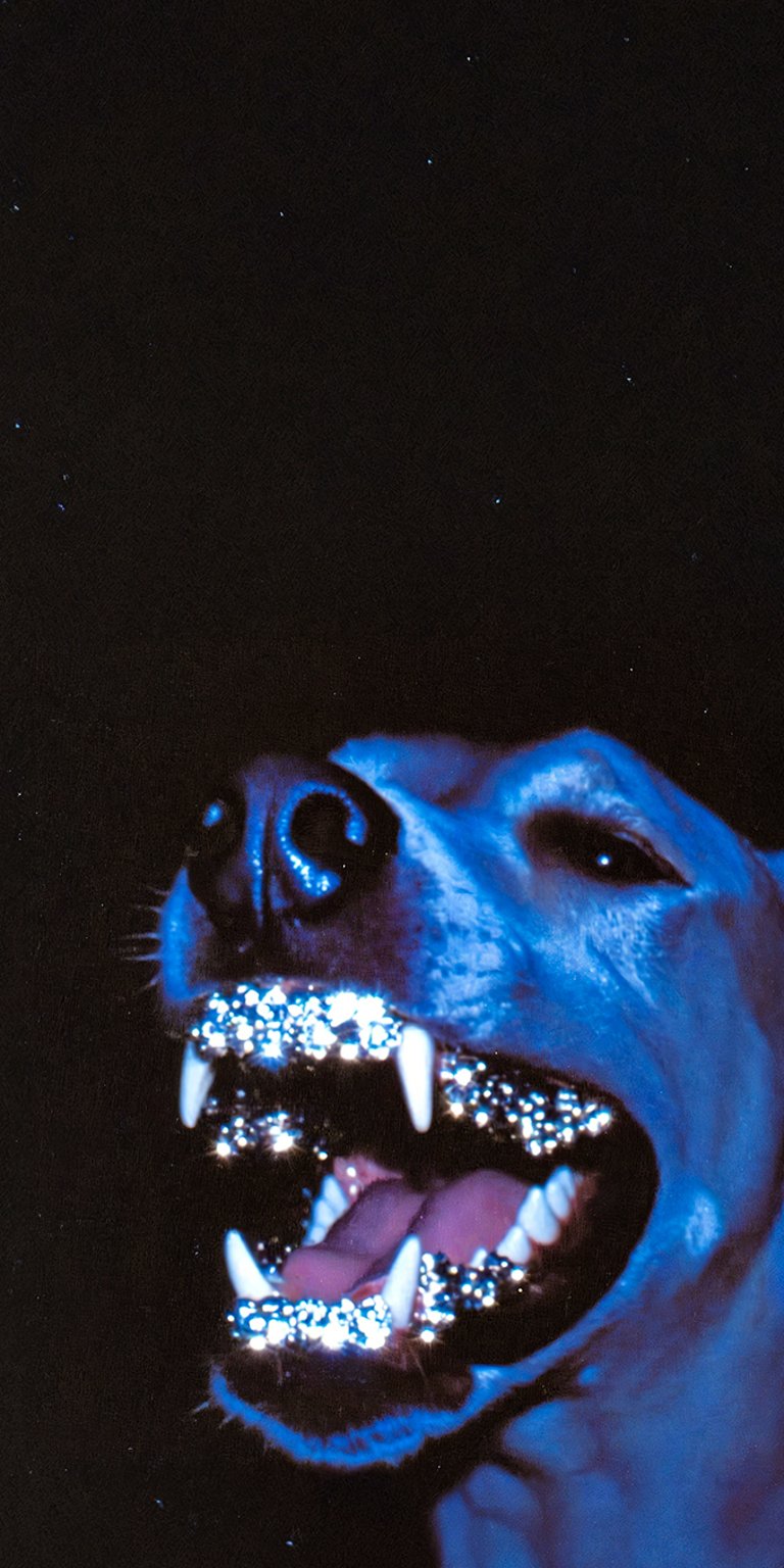 Diamond teeth dog wallpaper iPhone 4K