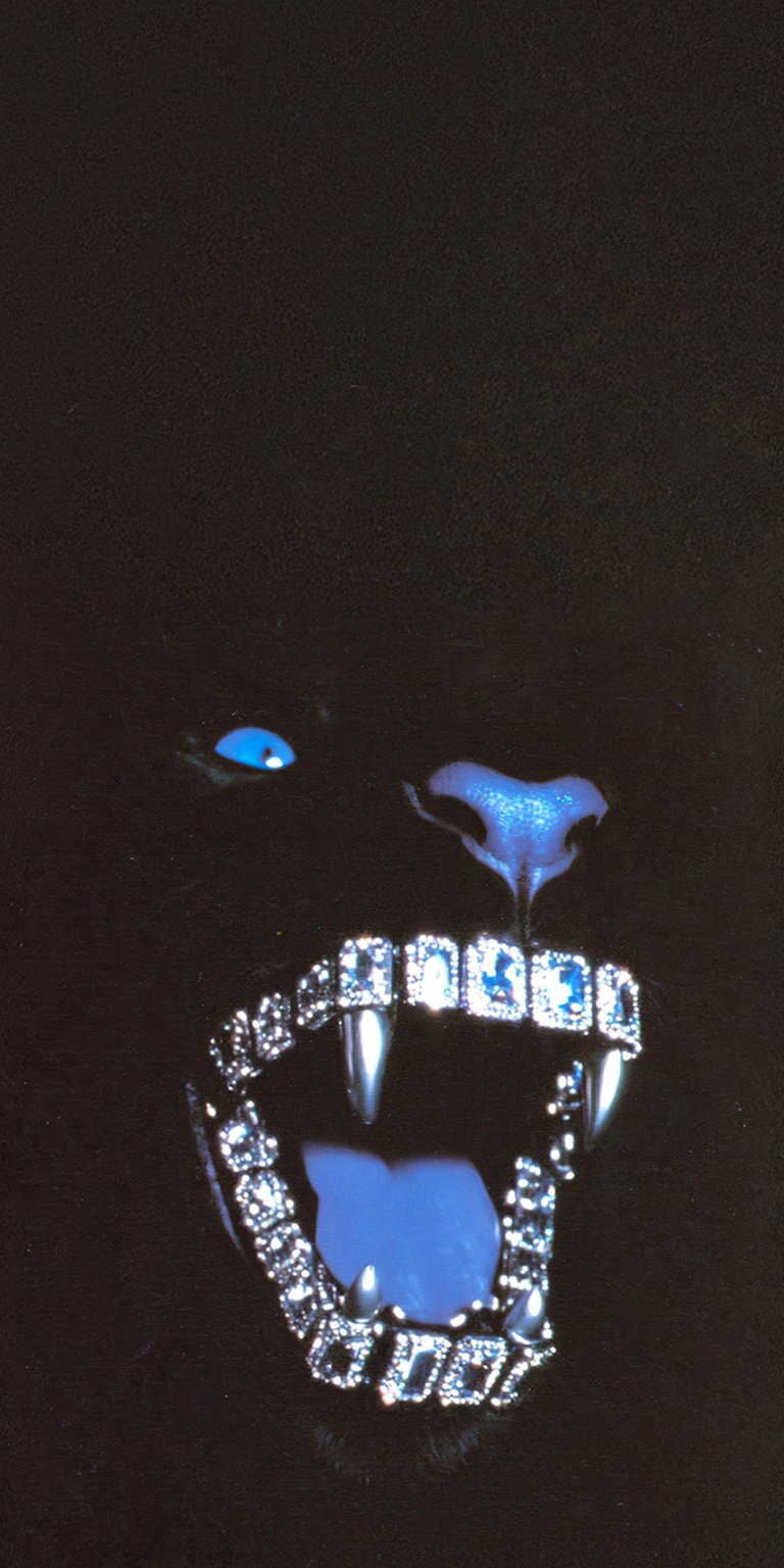 Dog diamond teeth wallpaper iPhone 4K