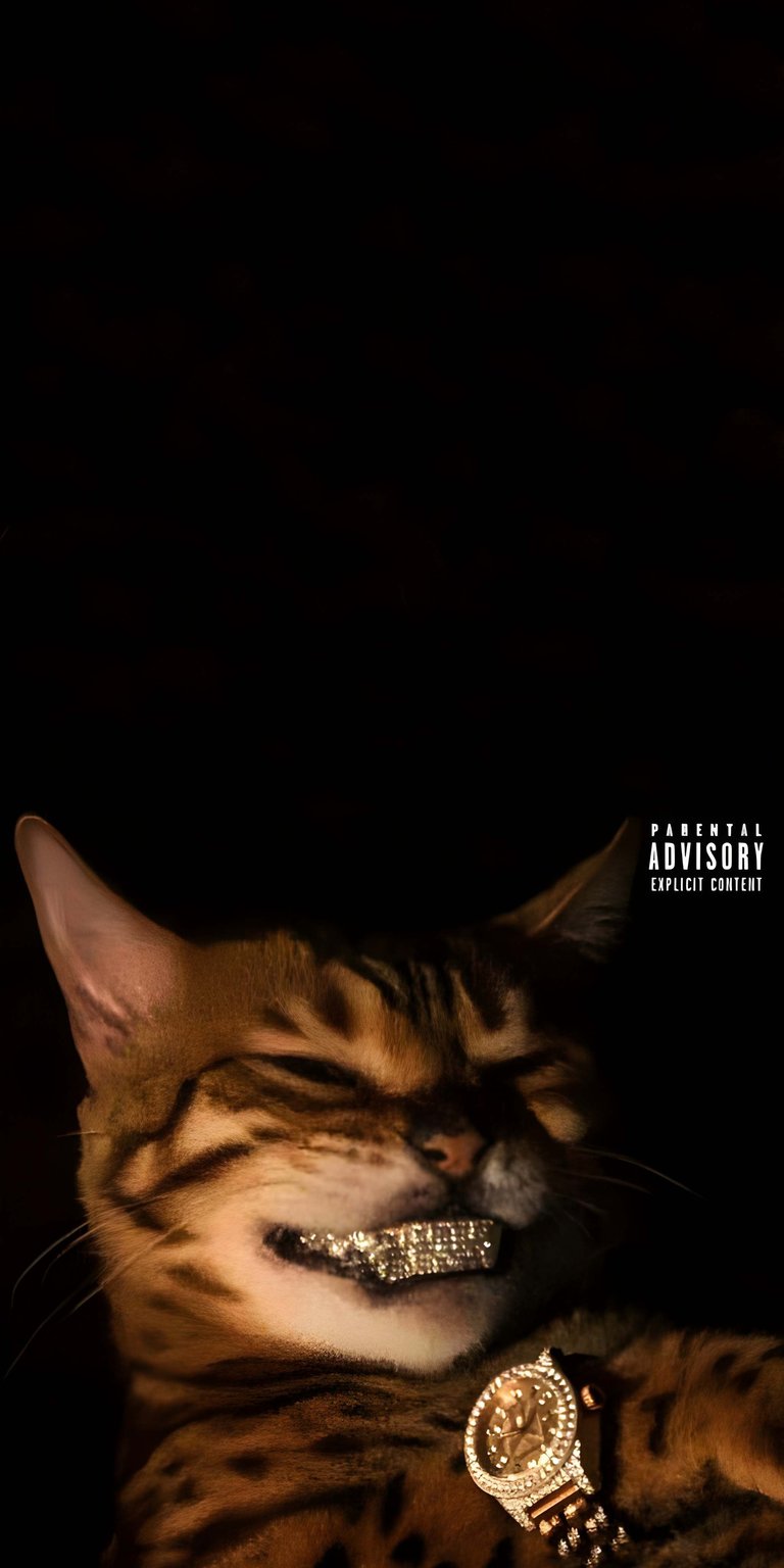 This high-contrast 4K wallpaper features a Bengal cat wearing diamond grillz and a luxury watch for your iPhone. This OLED wallpaper utilizes deep black space and sparkling jewelry highlights to create a humorous, "thug life" aesthetic.