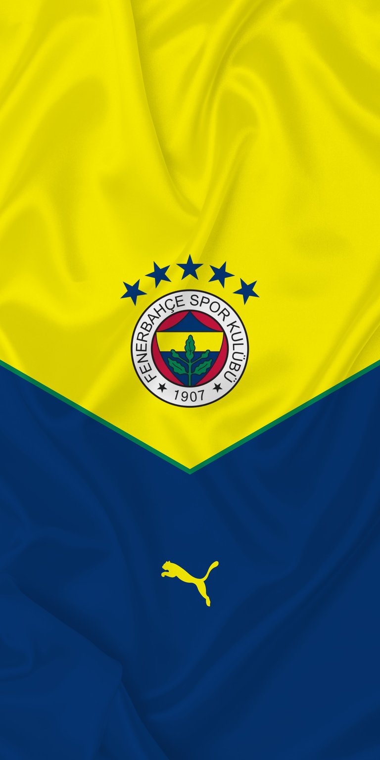 Fenerbahce football team logo wallpaper