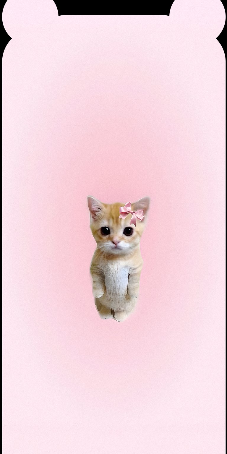 Cute cat with ribbon phone wallpaper