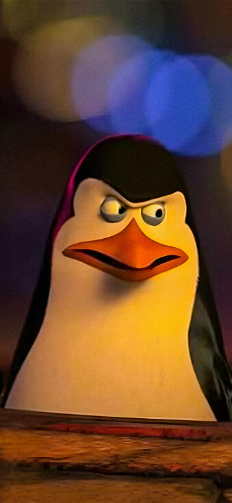 Kowalski quad wallpaper iPhone