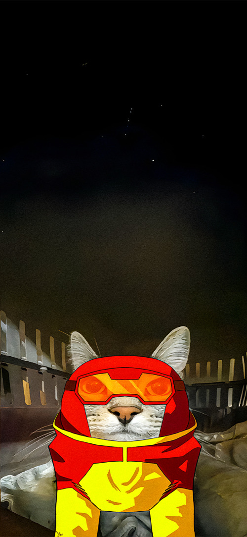 Atom Eve Invincible cat wallpaper iPhone 4K