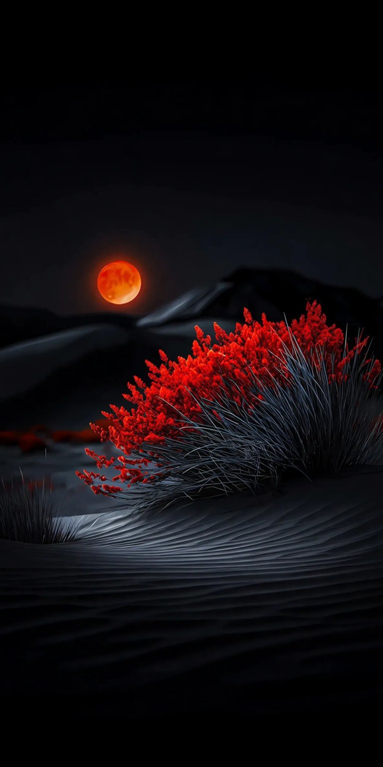 Flowers in the dark iPhone wallpaper 4K