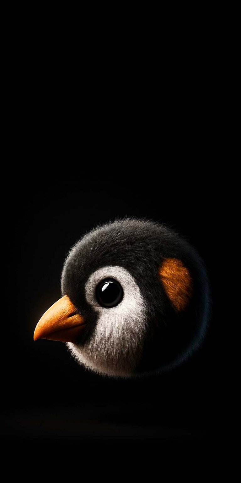 Furr penguin cute iPhone wallpaper HD