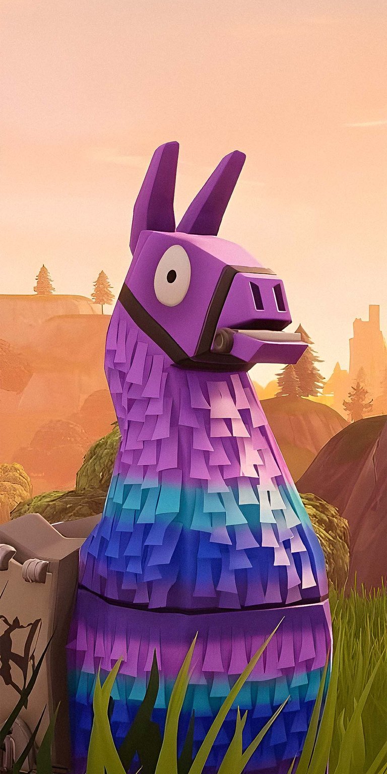 Llama horse in a grass area HD wallpaper