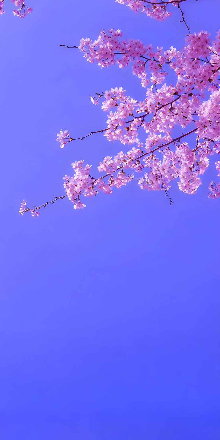 Cherry Blossom tree 3d wallpaper for iPhone HD